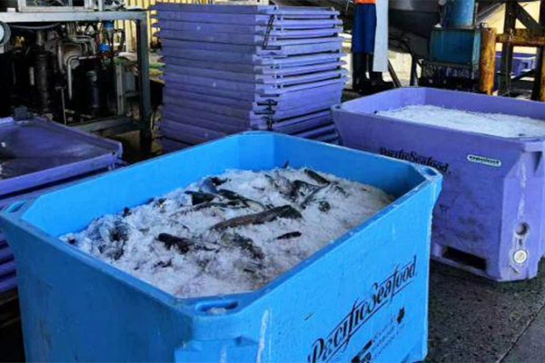 Insulated container 4 Insulated container 4